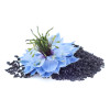 NoAlergo, cu ulei de chimen negru, Life Care®